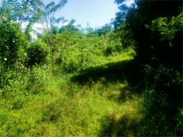 PropertyImage